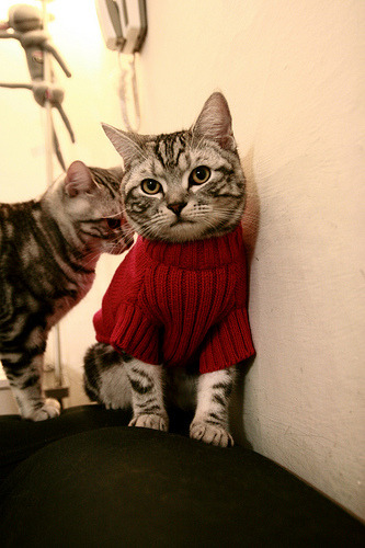 开云官网-德甲争冠白热化，勒沃库森剑指历史；北京队绝境魔术过关，中超淘汰赛上演逆袭序章